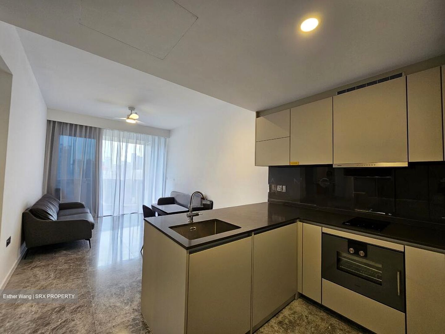 Riviere  (D3), Condominium #497094151